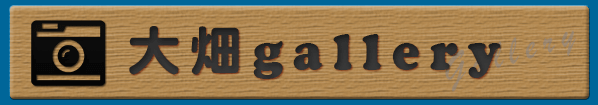 大畑gallery